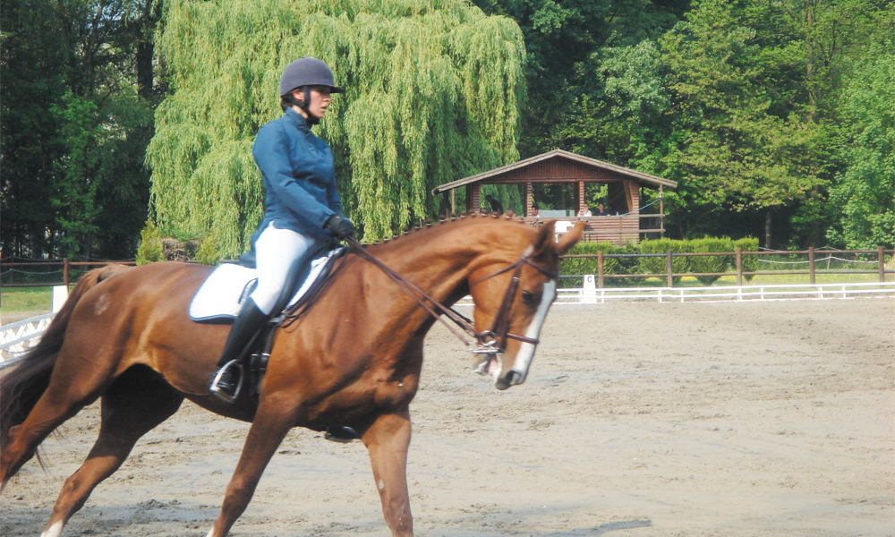 Concours de dressage