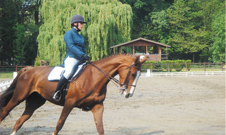 Concours de dressage