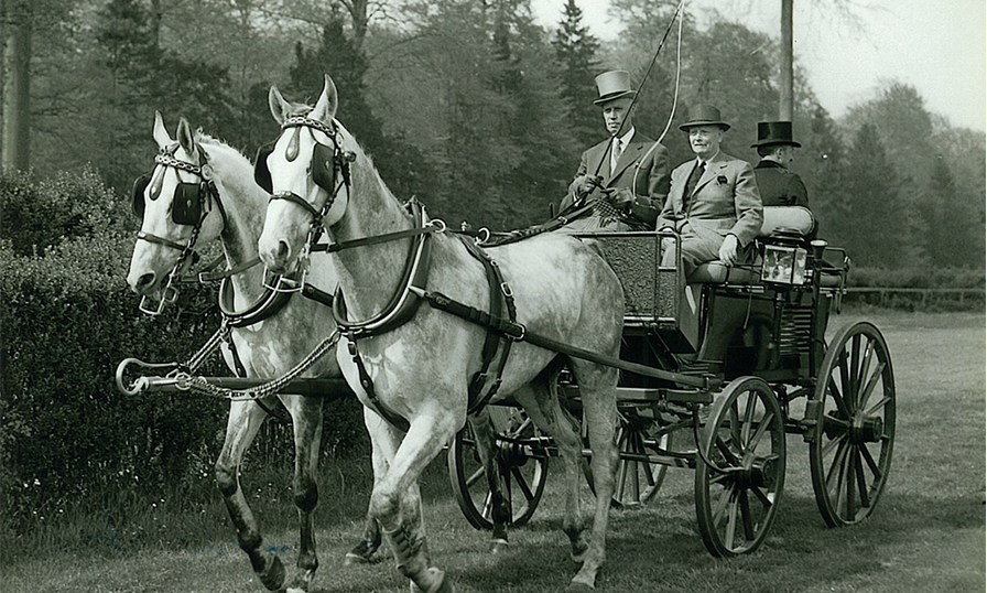 Attelage Hector Franckomme, figure du Club de Roubaix, dans les années 30