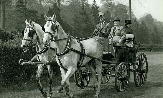 Attelage Hector Franckomme, figure du Club de Roubaix, dans les années 30