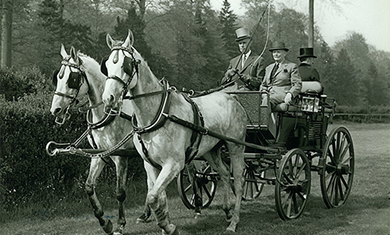 Attelage Hector Franckomme, figure du Club de Roubaix, dans les années 30